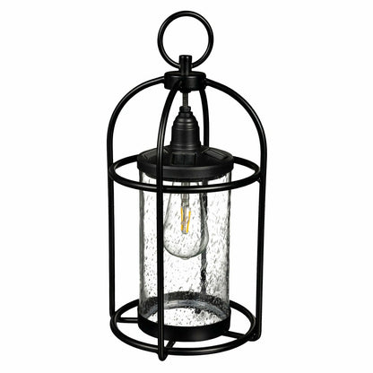 Solar Metal and Bubble Glass Edison Lantern | Plow & Hearth