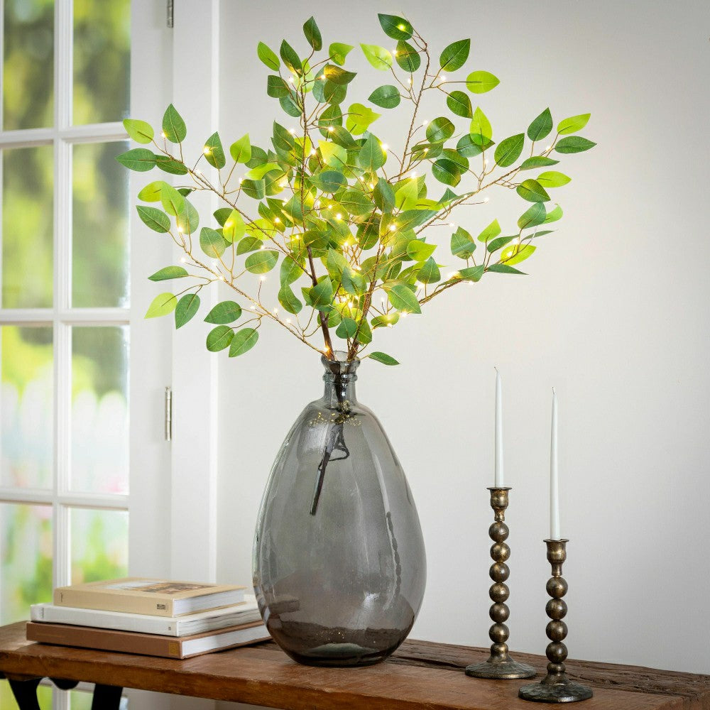 Indoor/Outdoor Micro LED Lighted Ficus Branches | Plow & Hearth