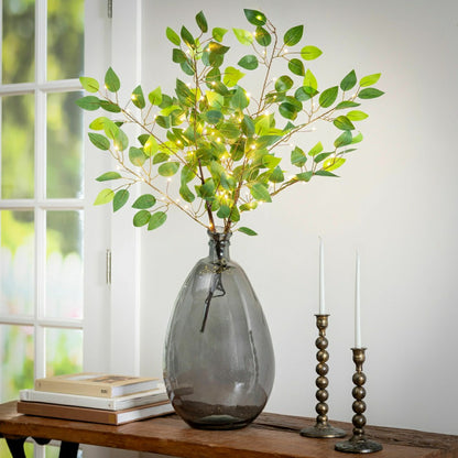 Indoor/Outdoor Micro LED Lighted Ficus Branches | Plow & Hearth
