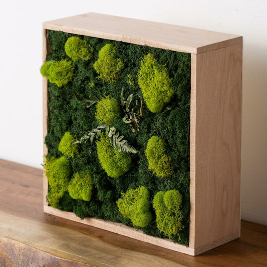 Moss Wall Art | Plow & Hearth