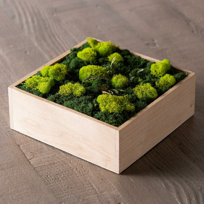 Moss Wall Art | Plow & Hearth