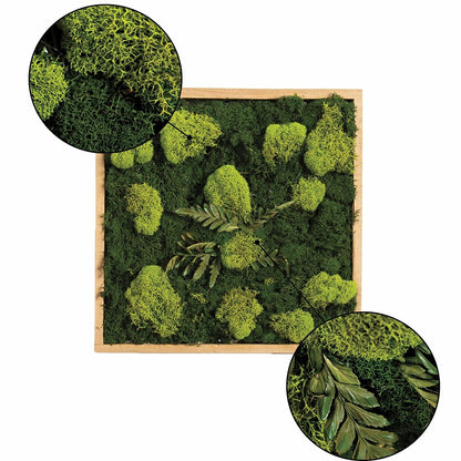 Moss Wall Art | Plow & Hearth