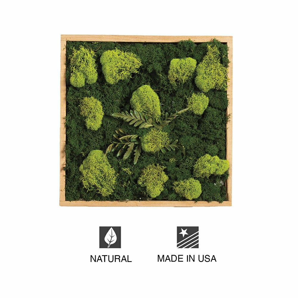 Moss Wall Art | Plow & Hearth