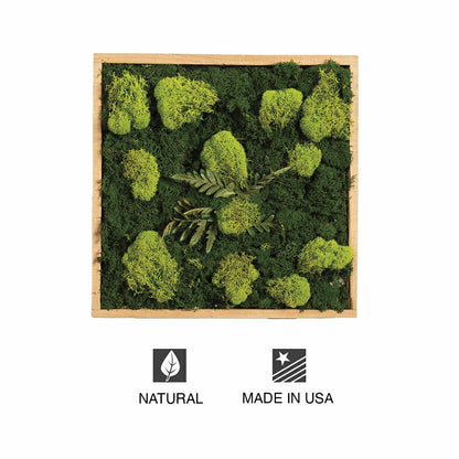 Moss Wall Art | Plow & Hearth