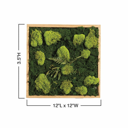 Moss Wall Art | Plow & Hearth