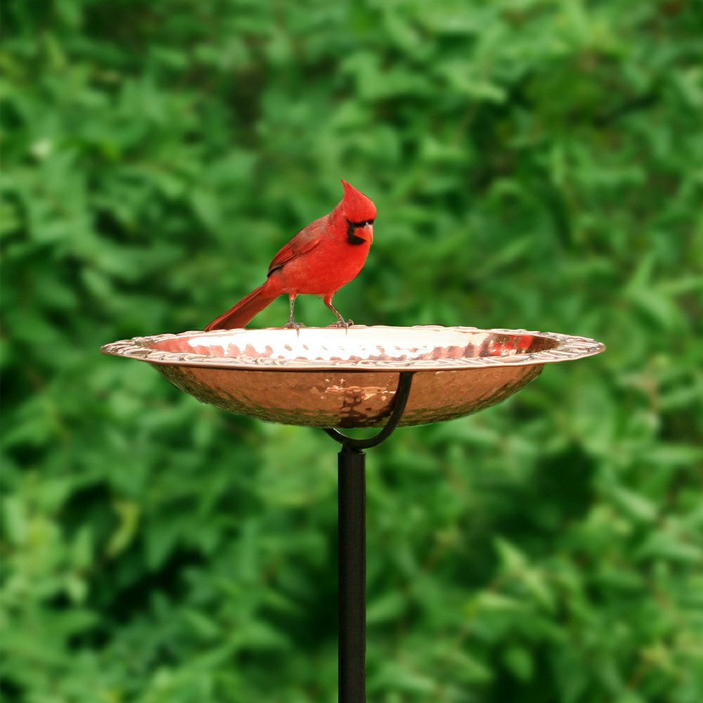 Pure Copper Birdbath on Powder-Coated Steel Pole With Sturdy Three-Pro | Plow & Hearth