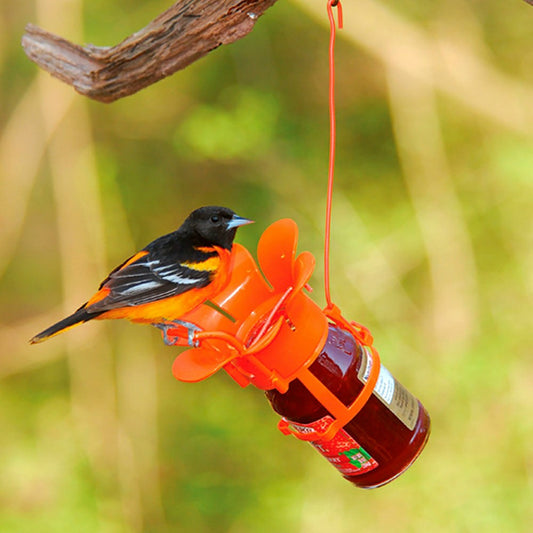 Jelly/Jam Jar Oriole Bird Feeder | Plow & Hearth