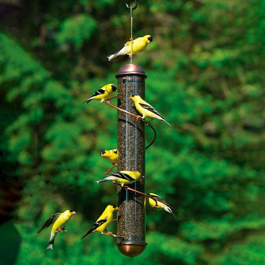 Copper-Colored Spiral-Perch Finch Bird Feeder | Plow & Hearth