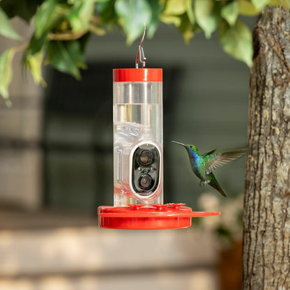 LED Smart Hummingbird Feeder with Camera | Plow & Hearth