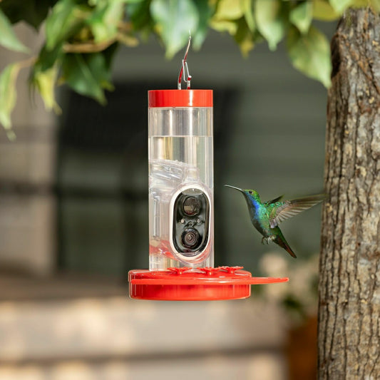 LED Smart Hummingbird Feeder with Camera | Plow & Hearth