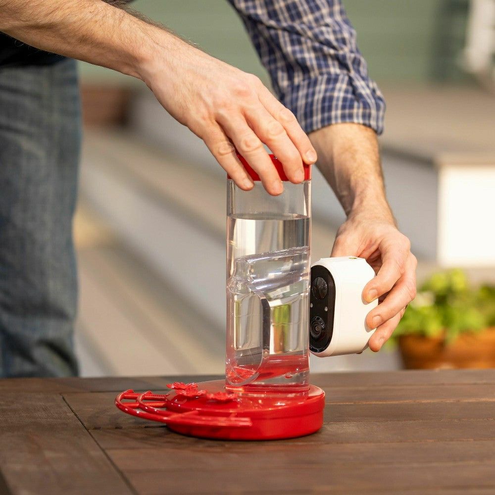 LED Smart Hummingbird Feeder with Camera | Plow & Hearth