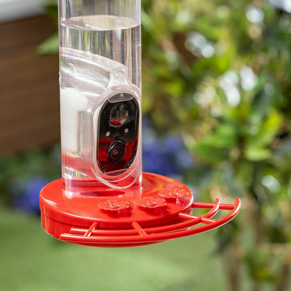 LED Smart Hummingbird Feeder with Camera | Plow & Hearth