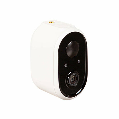 LED Smart Hummingbird Feeder with Camera | Plow & Hearth