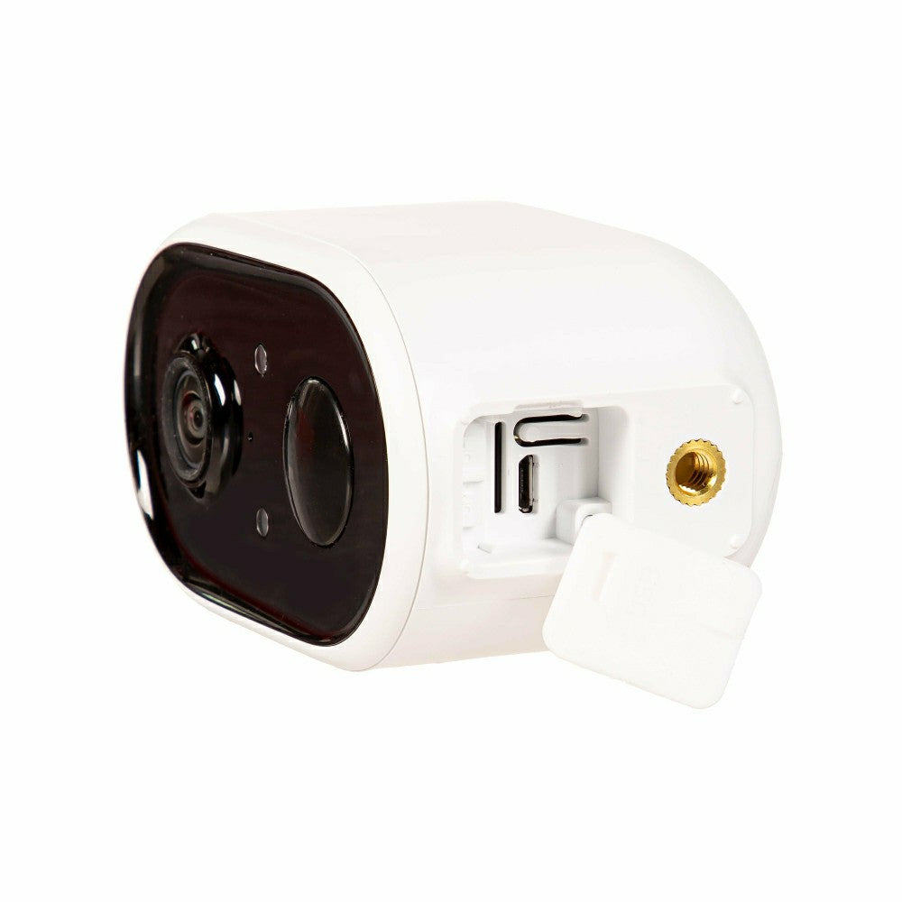 LED Smart Hummingbird Feeder with Camera | Plow & Hearth