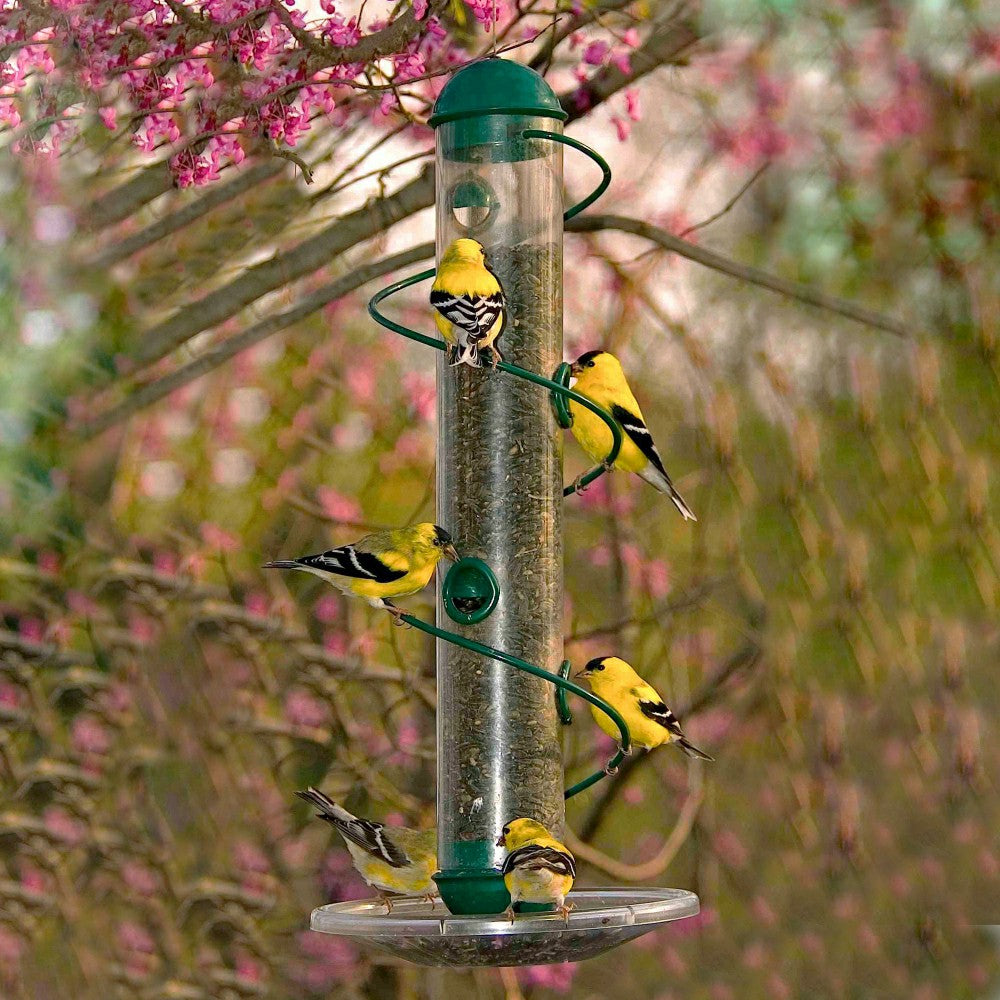 Green Spiral-Perch Finch Bird Feeder | Plow & Hearth