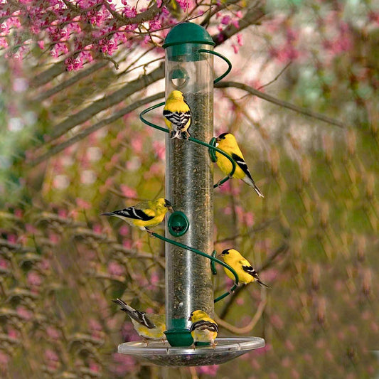 Green Spiral-Perch Finch Bird Feeder | Plow & Hearth