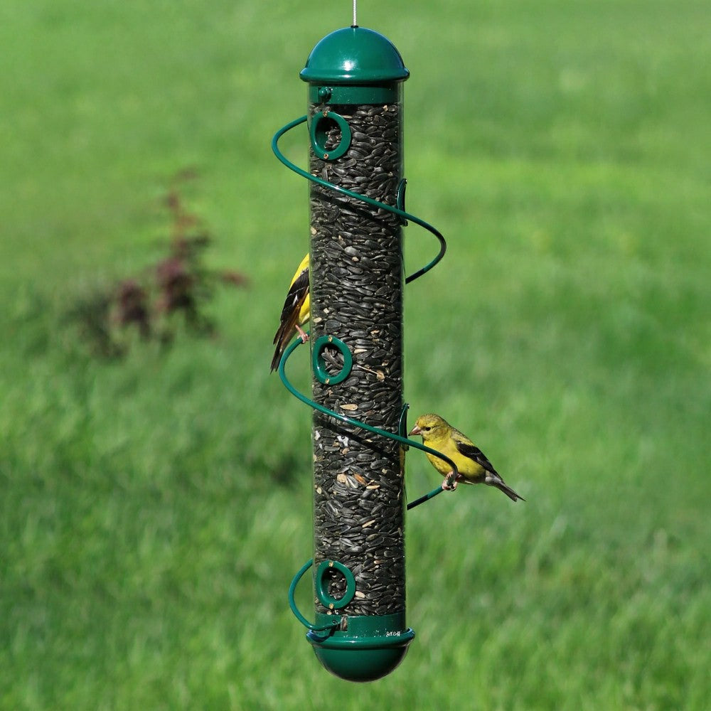Green Spiral-Perch Finch Bird Feeder | Plow & Hearth