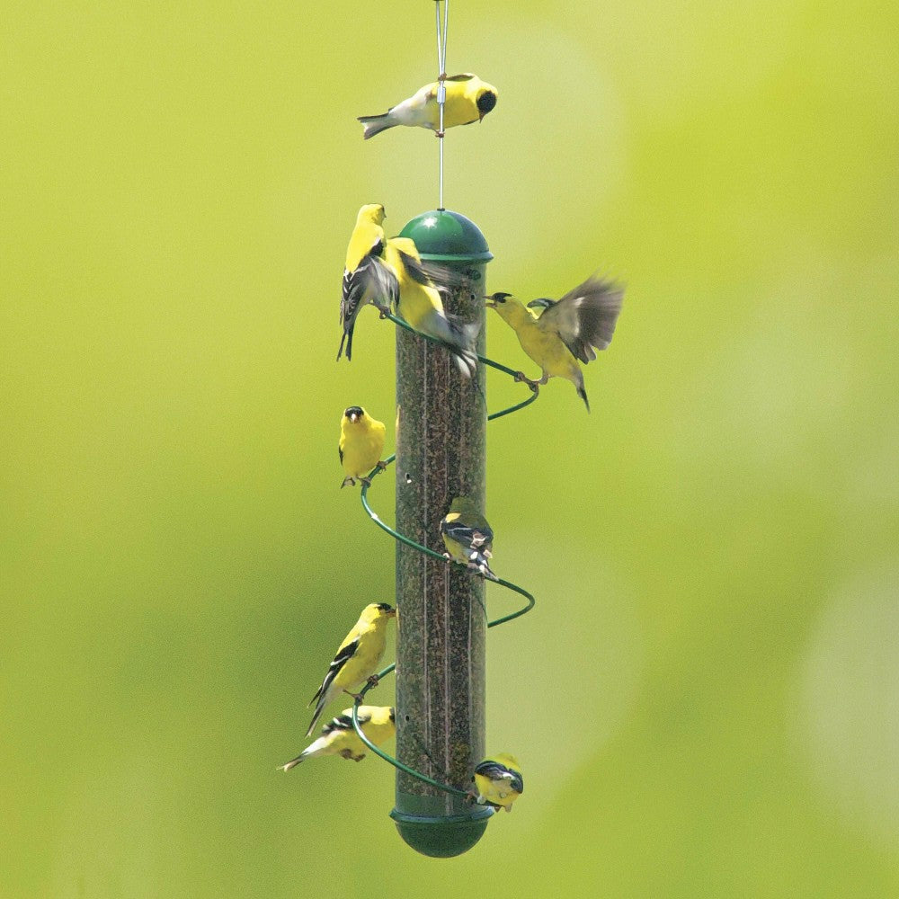 Green Spiral-Perch Finch Bird Feeder | Plow & Hearth