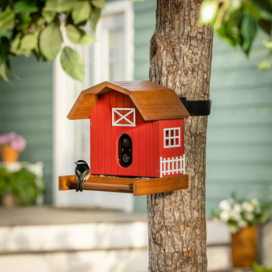 LED Barn House Smart Bird Feeder with Camera | Plow & Hearth