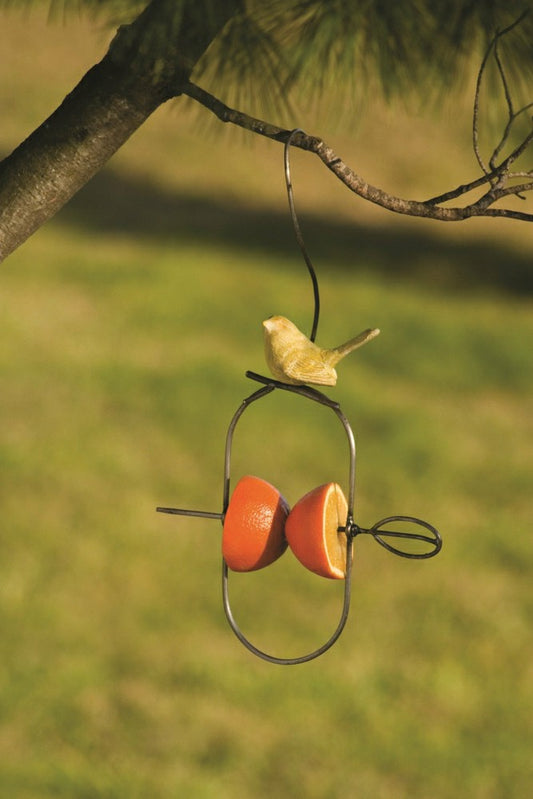 Yellow Bird Fruit Feeder | Plow & Hearth
