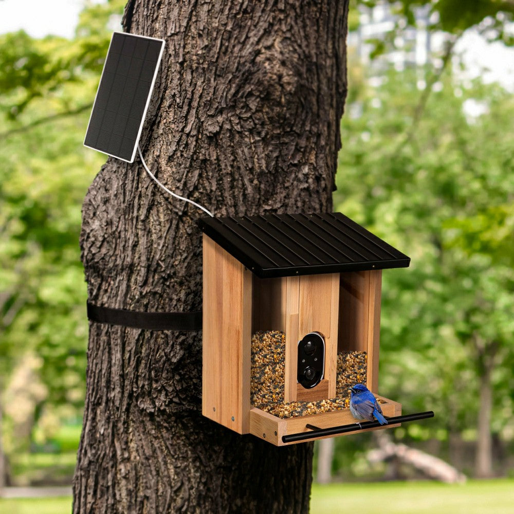 BirdsIVue Smart Feeder: Solar Wooden Bird Feeder | Plow & Hearth