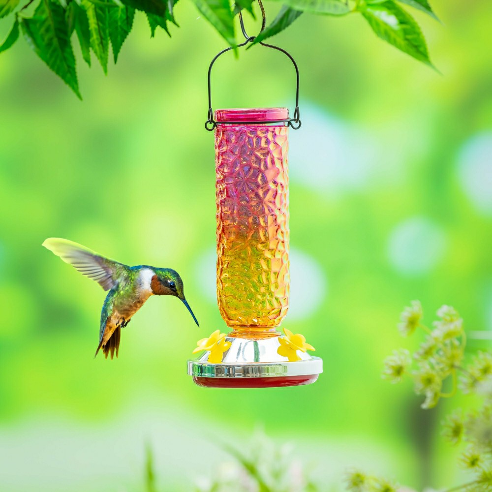 Cottage Garden Bird Feeder, Textured Iridescent Glass Hummingbird Feed | Plow & Hearth