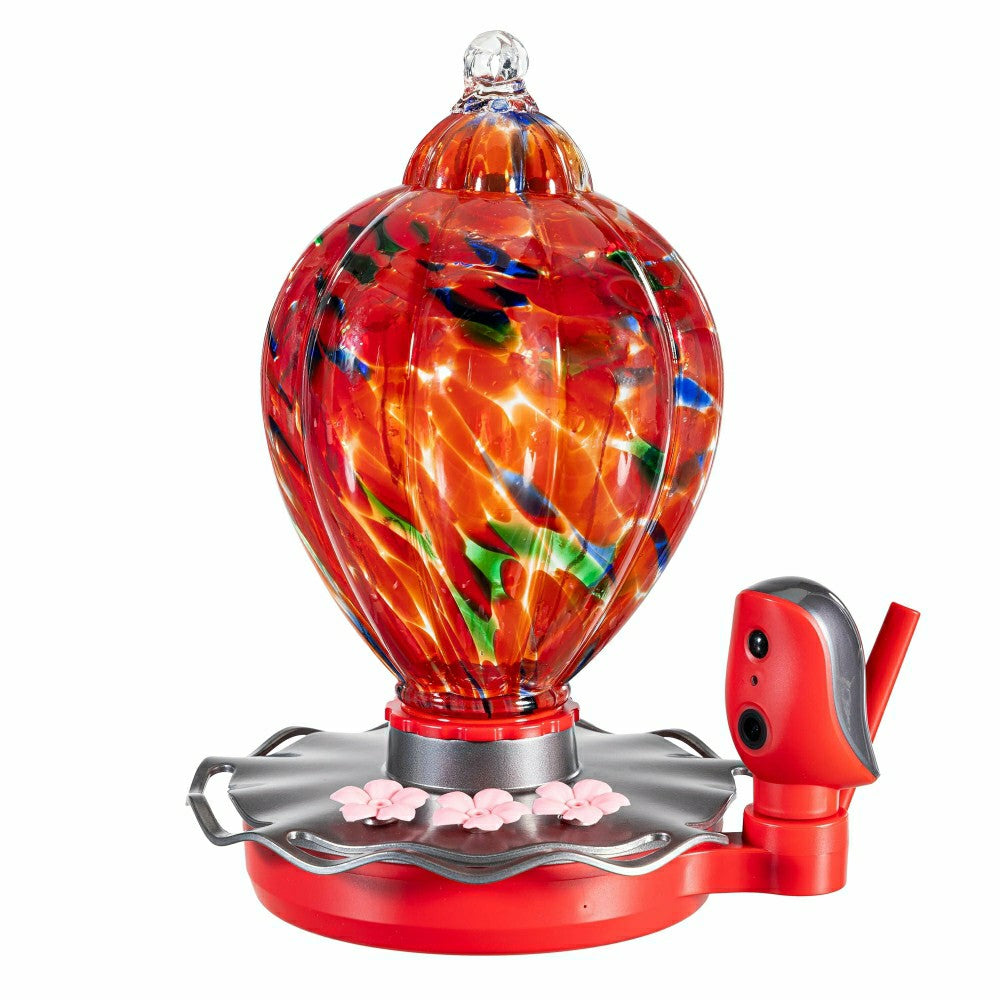 Solar Smart Hummingbird Feeder with HD Camera | Plow & Hearth