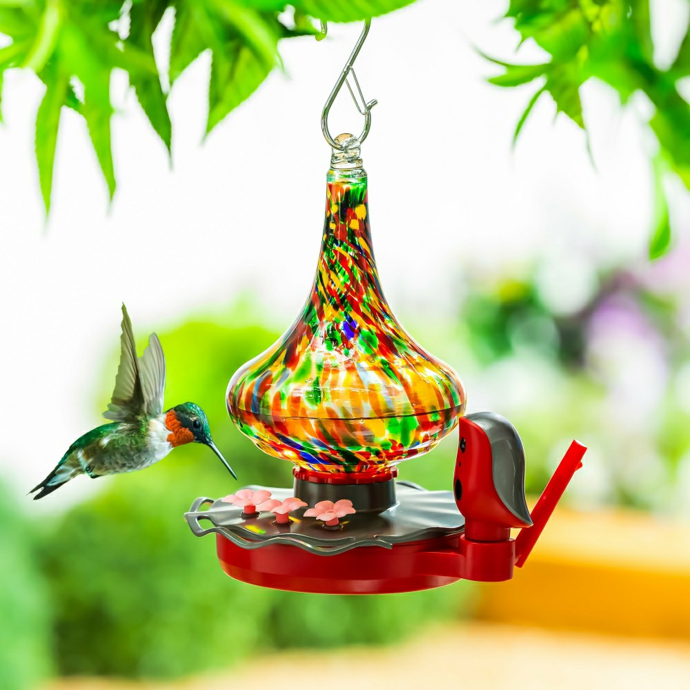 BirdsIVue Art Glass Hummingbird Smart Feeder | Plow & Hearth