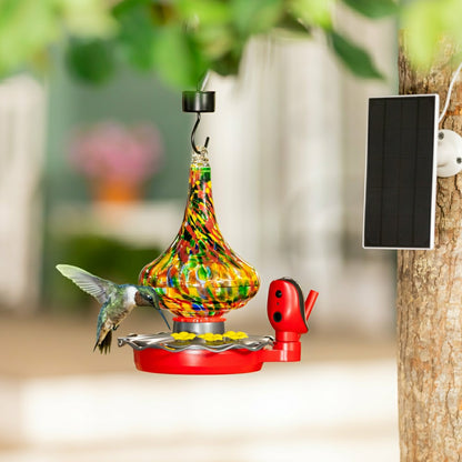BirdsIVue Art Glass Hummingbird Smart Feeder | Plow & Hearth