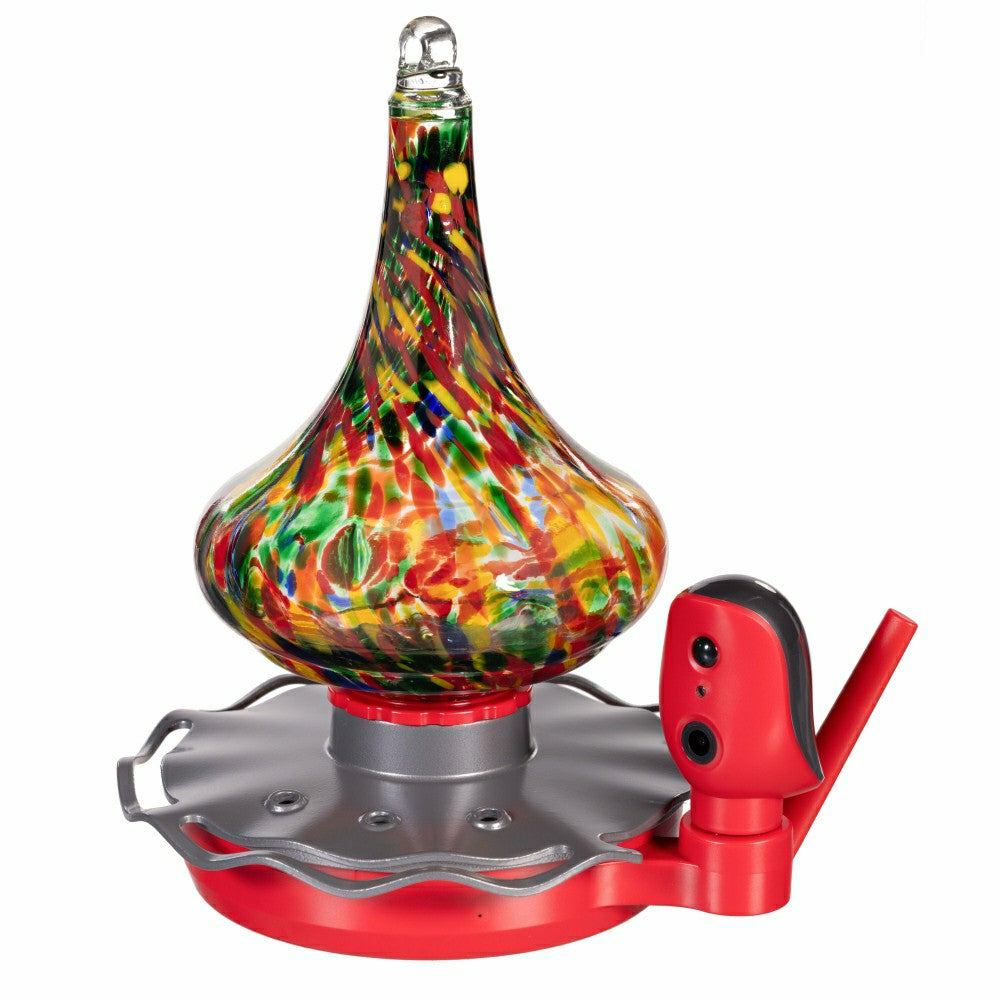 BirdsIVue Art Glass Hummingbird Smart Feeder | Plow & Hearth