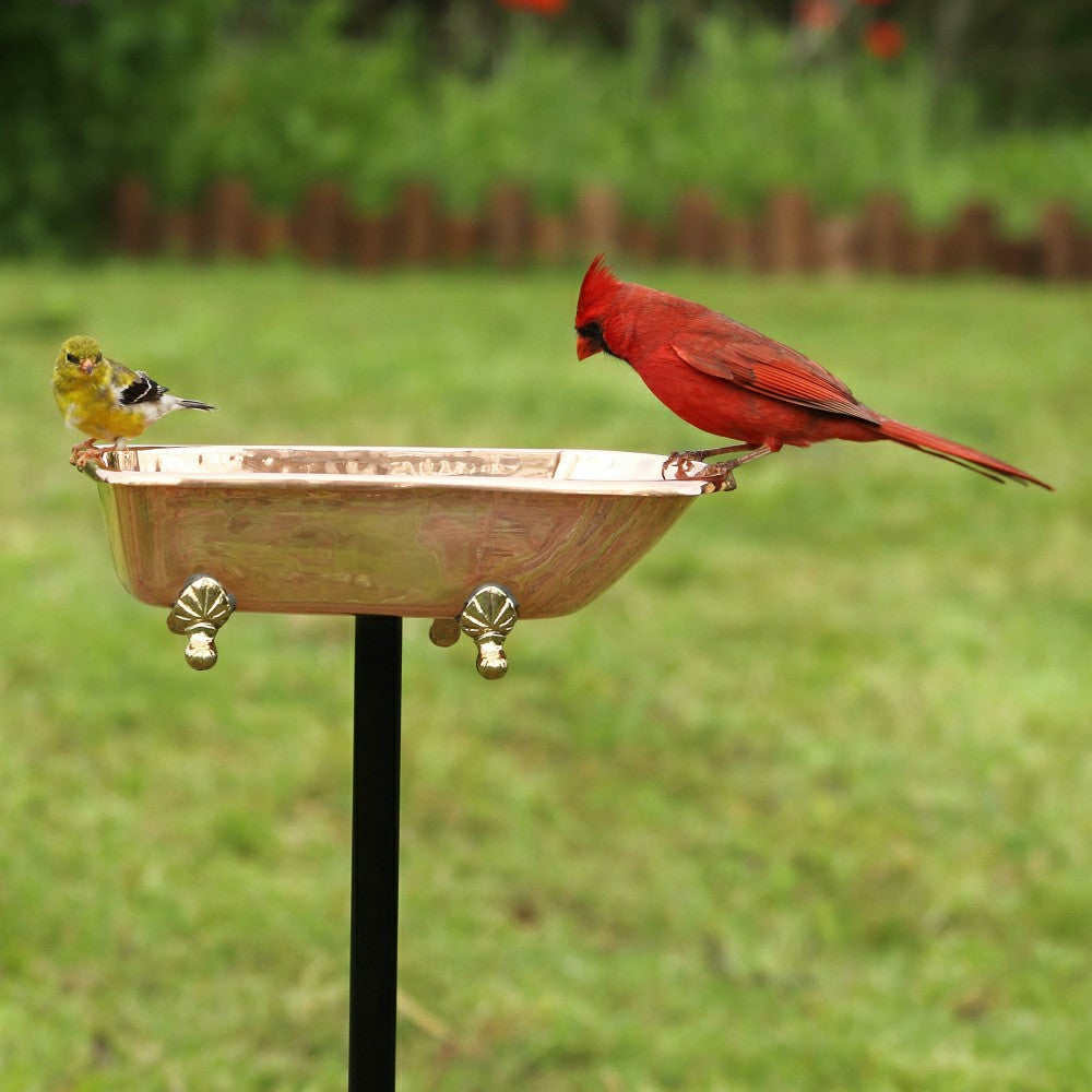 Splish Splash Birdbath, Polished Copper | Plow & Hearth