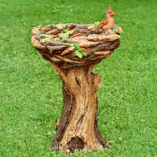 Succulent Bird Nest Tree Stump Birdbath | Plow & Hearth