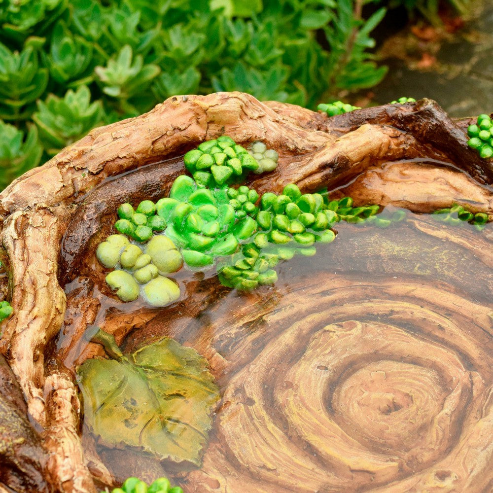 Succulent Bird Nest Tree Stump Birdbath | Plow & Hearth