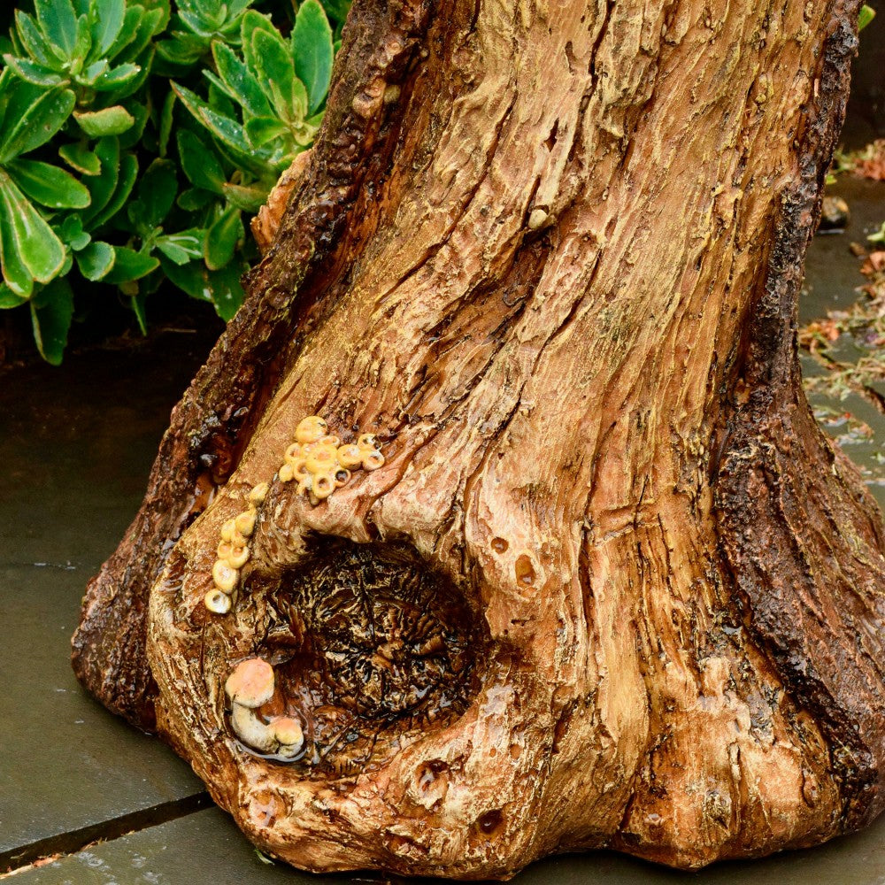Succulent Bird Nest Tree Stump Birdbath | Plow & Hearth
