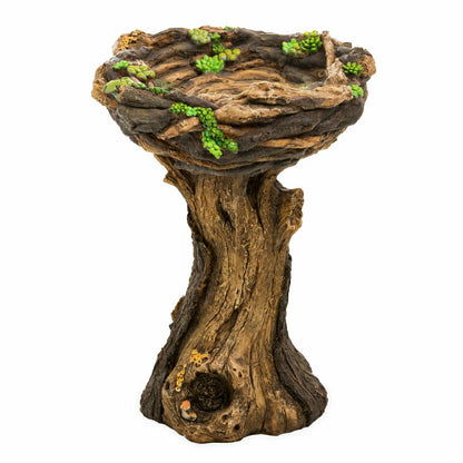 Succulent Bird Nest Tree Stump Birdbath | Plow & Hearth