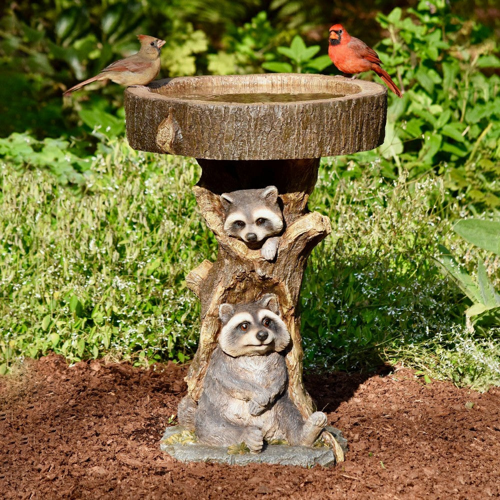 Resin Raccoon Birdbath | Plow & Hearth