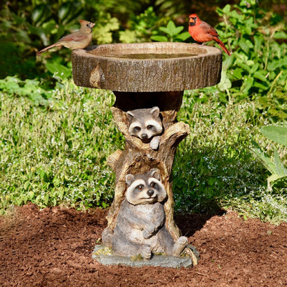 Resin Raccoon Birdbath | Plow & Hearth