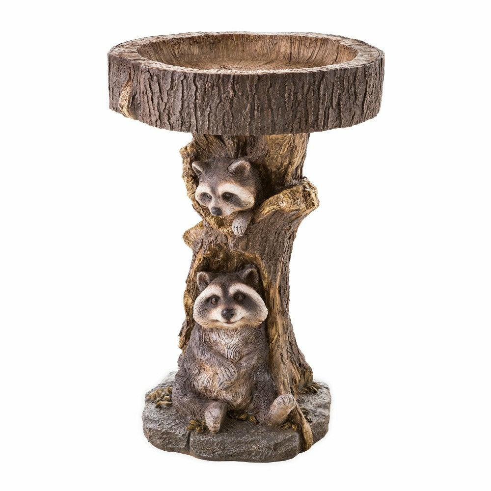 Resin Raccoon Birdbath | Plow & Hearth