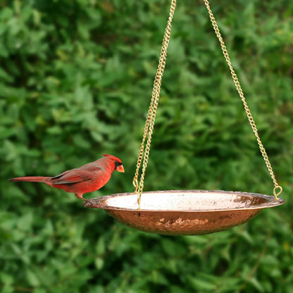 Pure Copper Hanging Birdbath on 17" Long Brass Chain with Hook | Plow & Hearth
