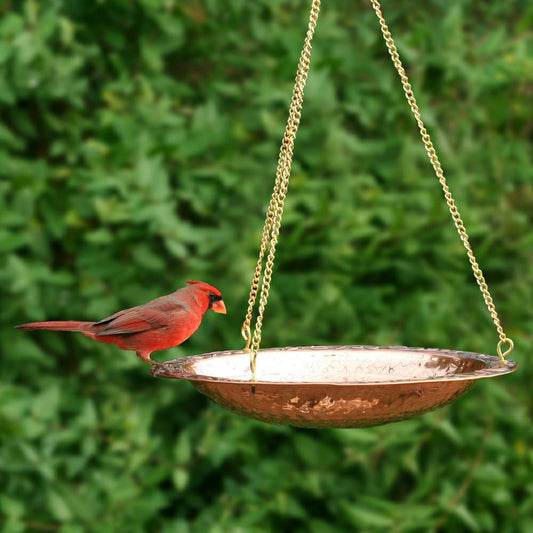 Pure Copper Hanging Birdbath on 17" Long Brass Chain with Hook | Plow & Hearth