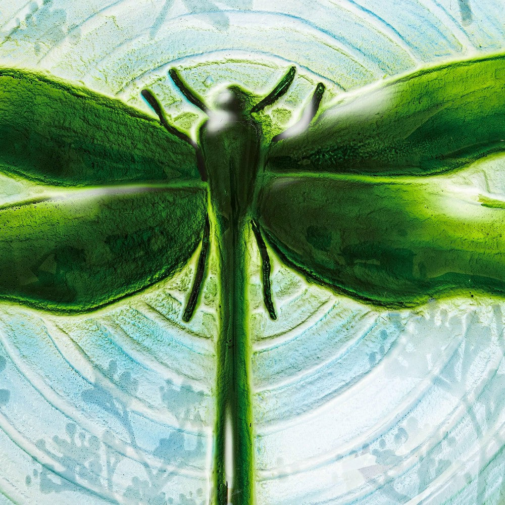 18"Hand Painted and Embossed Glass Bird Bath, Fluttering Dragonfly Pon | Plow & Hearth