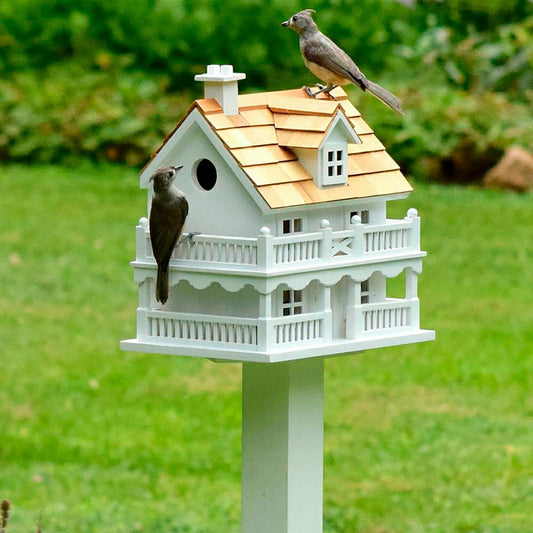 Wooden Cape Cod Birdhouse | Plow & Hearth