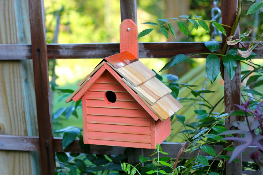 Cape Cod Wren House | Plow & Hearth