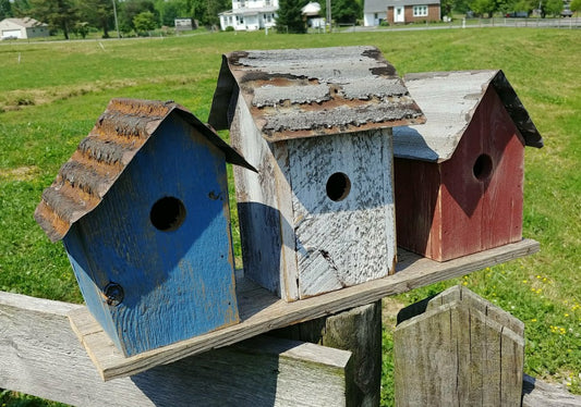 Union Trio Bird House | Plow & Hearth