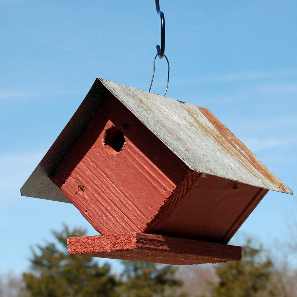 Wellsville Wren Bird House | Plow & Hearth