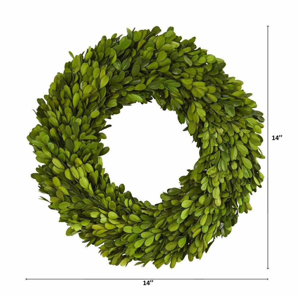 14” Preserved Boxwood Wreath | Plow & Hearth
