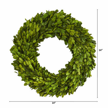 14” Preserved Boxwood Wreath | Plow & Hearth