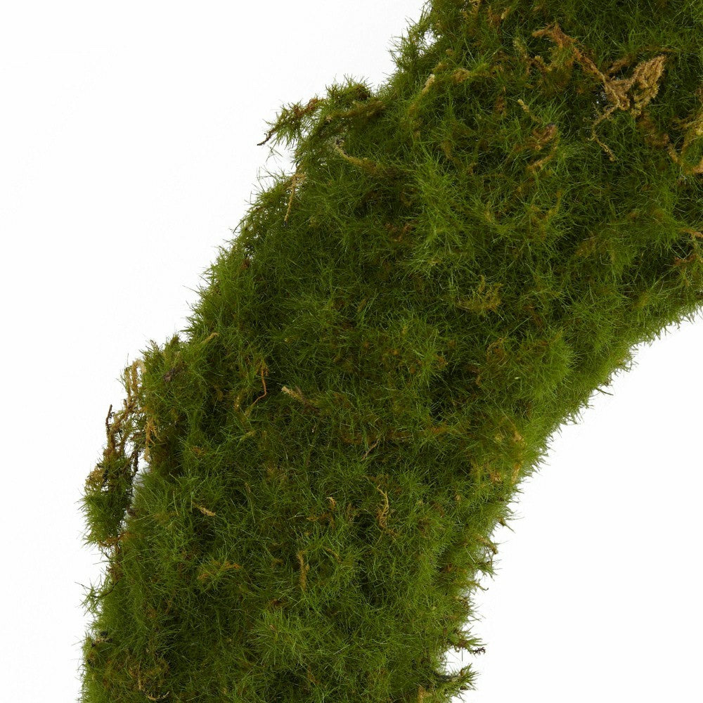 20” Moss Artificial Wreath | Plow & Hearth