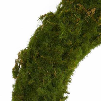 20” Moss Artificial Wreath | Plow & Hearth