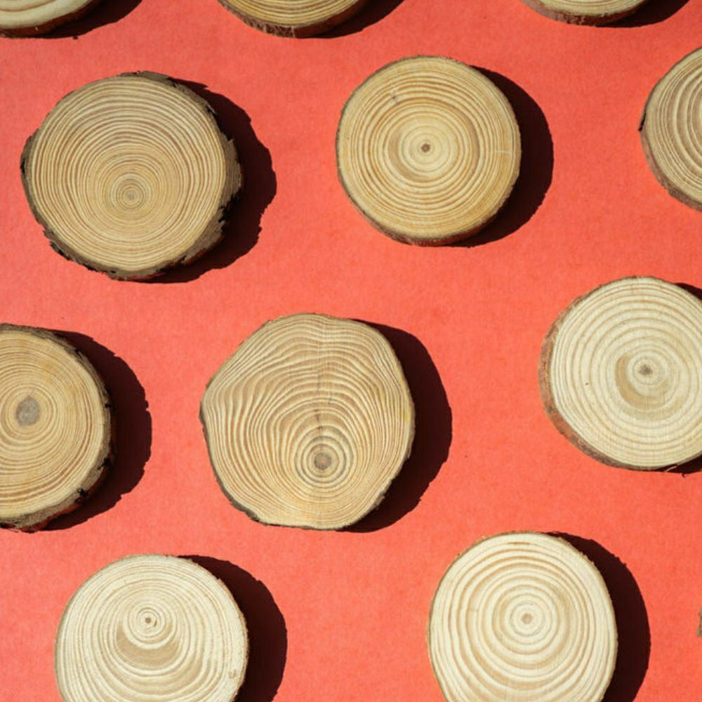 Spring Wood Slice Wreath Kit | Plow & Hearth